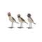 Assorted 4.5&#x22; Bird with Flowers Tabletop Accent by Ashland&#xAE;